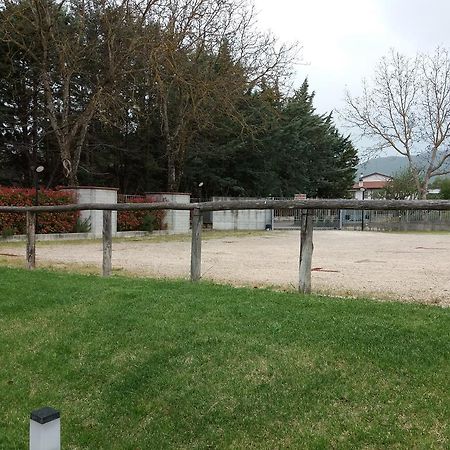 Il Boscaiolo Affittacamere Preturo エクステリア 写真